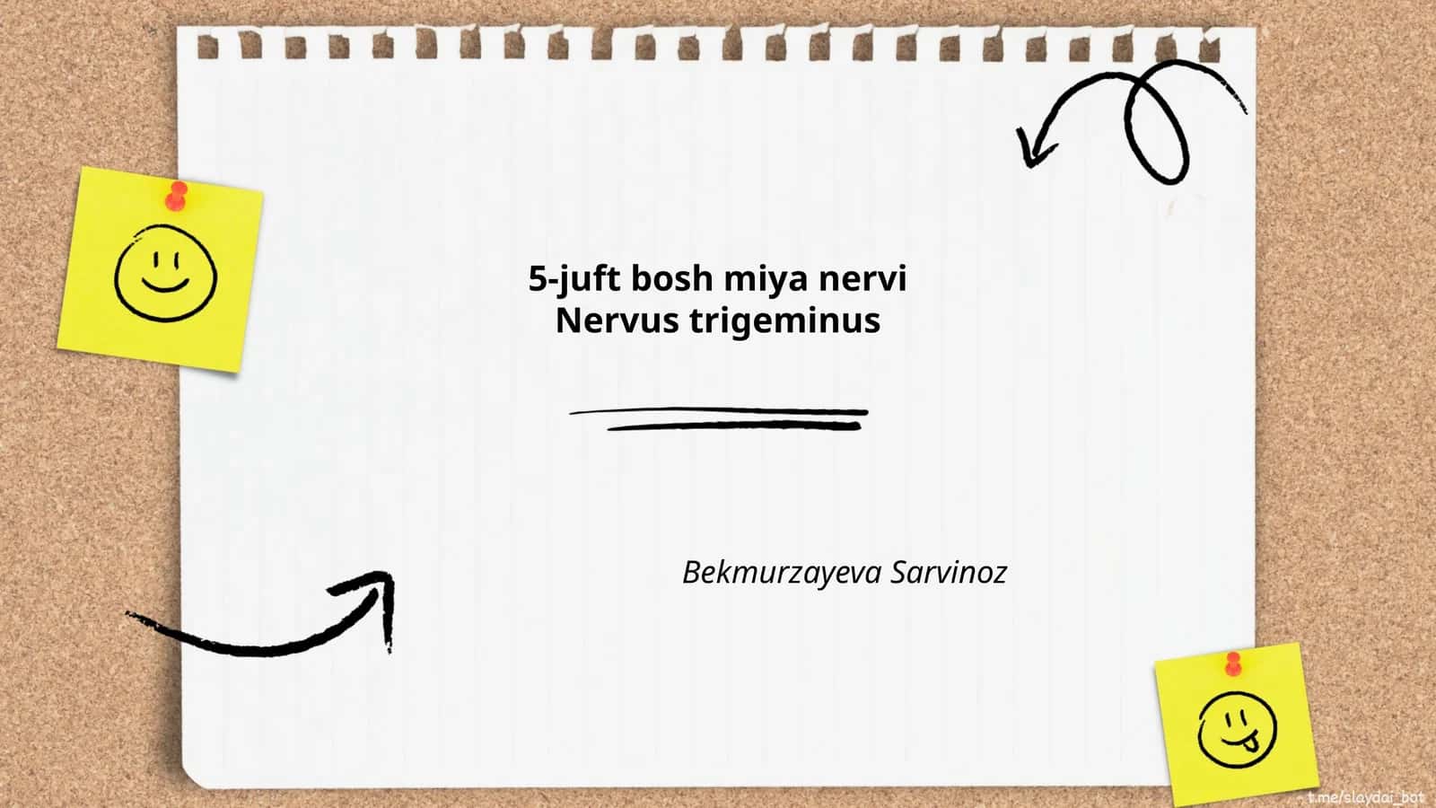 Nervus trigeminus anatomiyasi