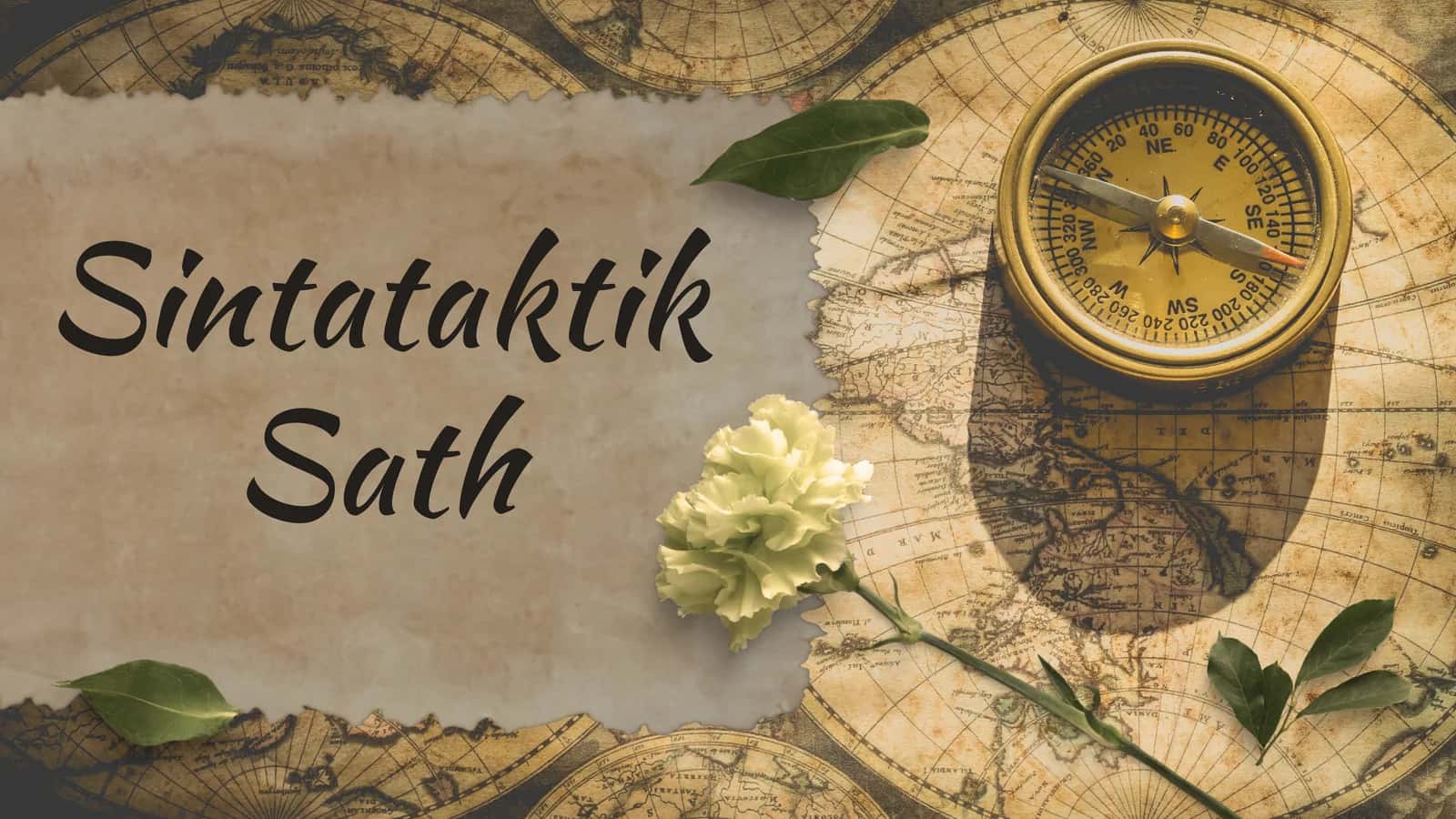 Sintataktik Sath