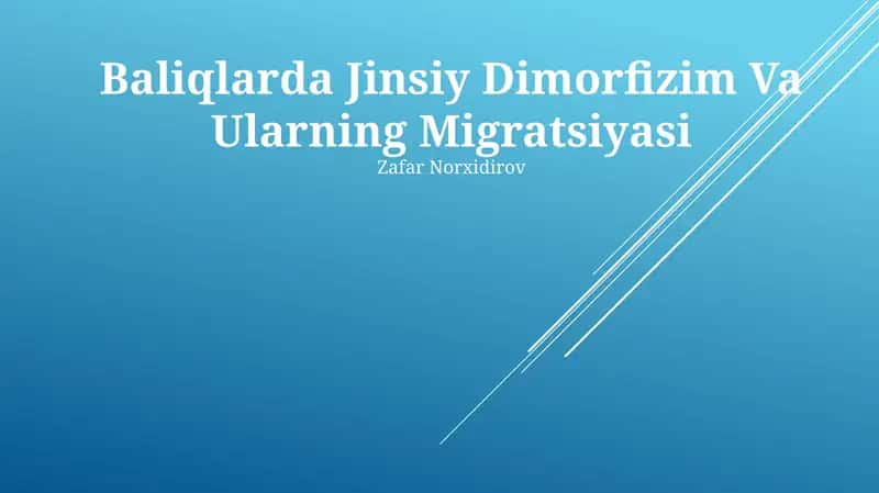 Baliqlarda Jinsiy Dimorfizim Va Ularning Migratsiyasi