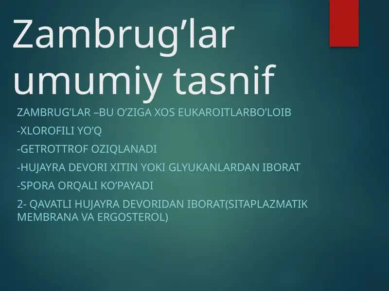 Zambrug’lar umumiy tasnif