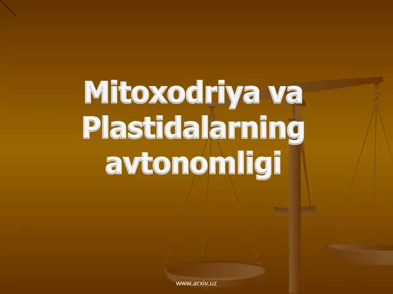 Mitoxodriya va Plastidalarning avtonomligi