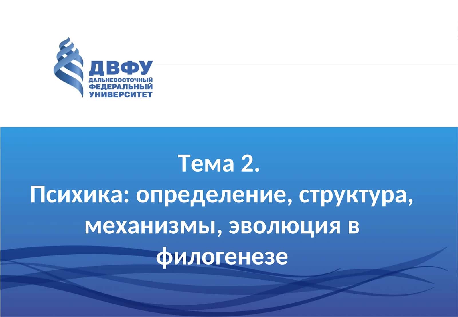 Психика: определение, структура, механизмы, эволюция в филогенезе