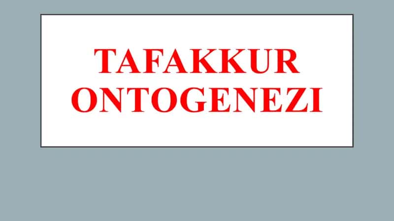 Tafakkur Ontogenez