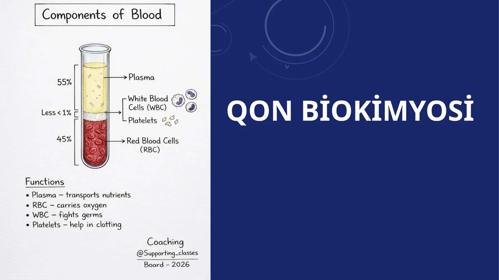 Qon biokimyosi