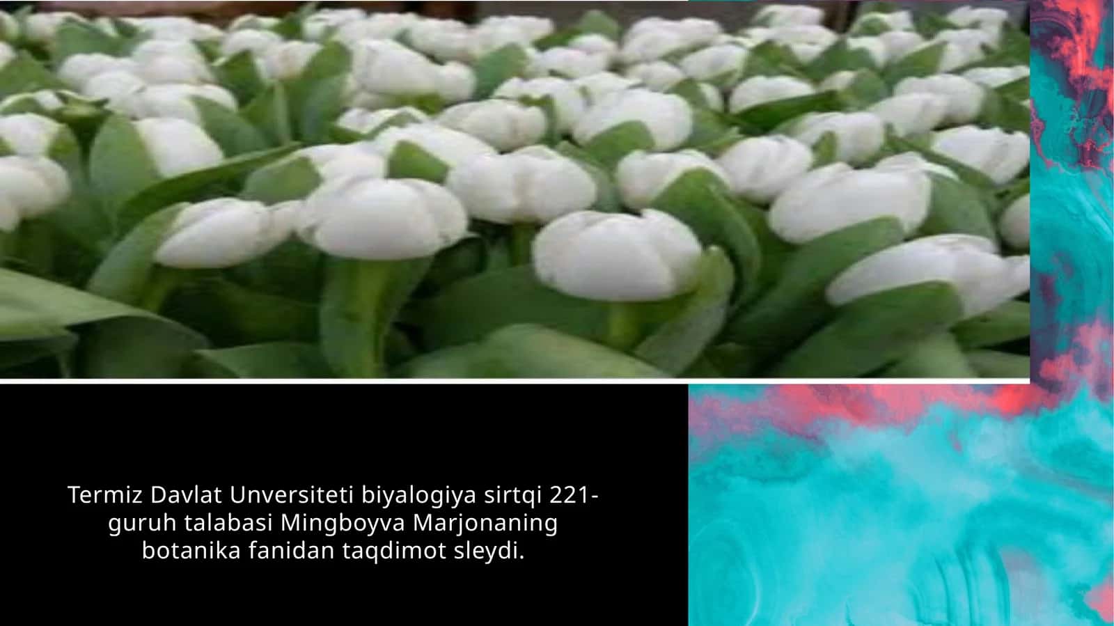 Botanika fanidan taqdimot