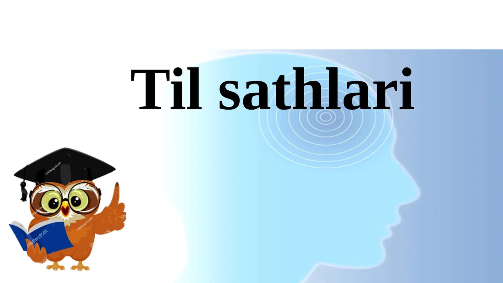 Tilsathlari
