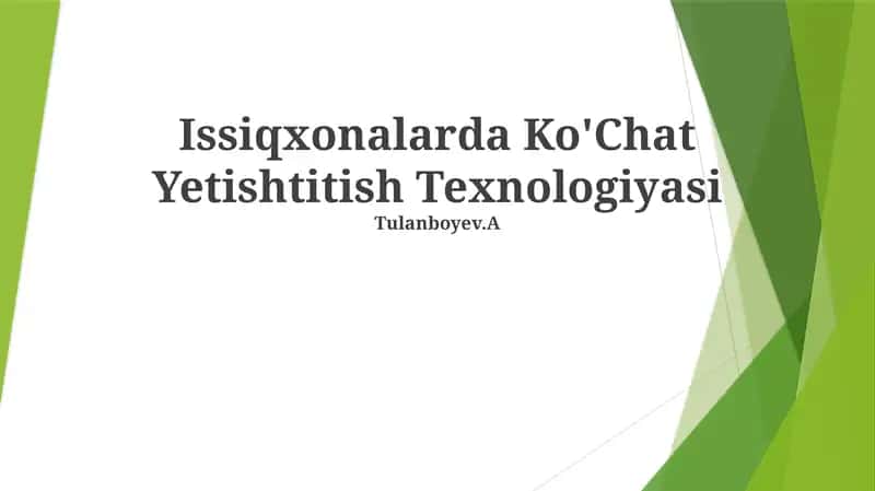 Issiqxonalarda Ko'Chat Yetishtitish Texnologiyasi