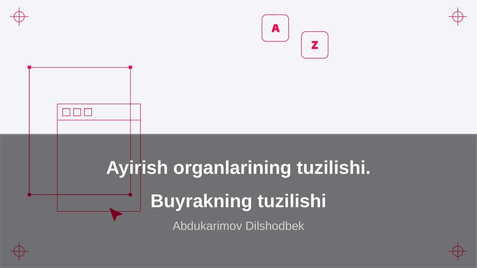 Ayirish organlarining tuzilishi. Buyrakning tuzilishi