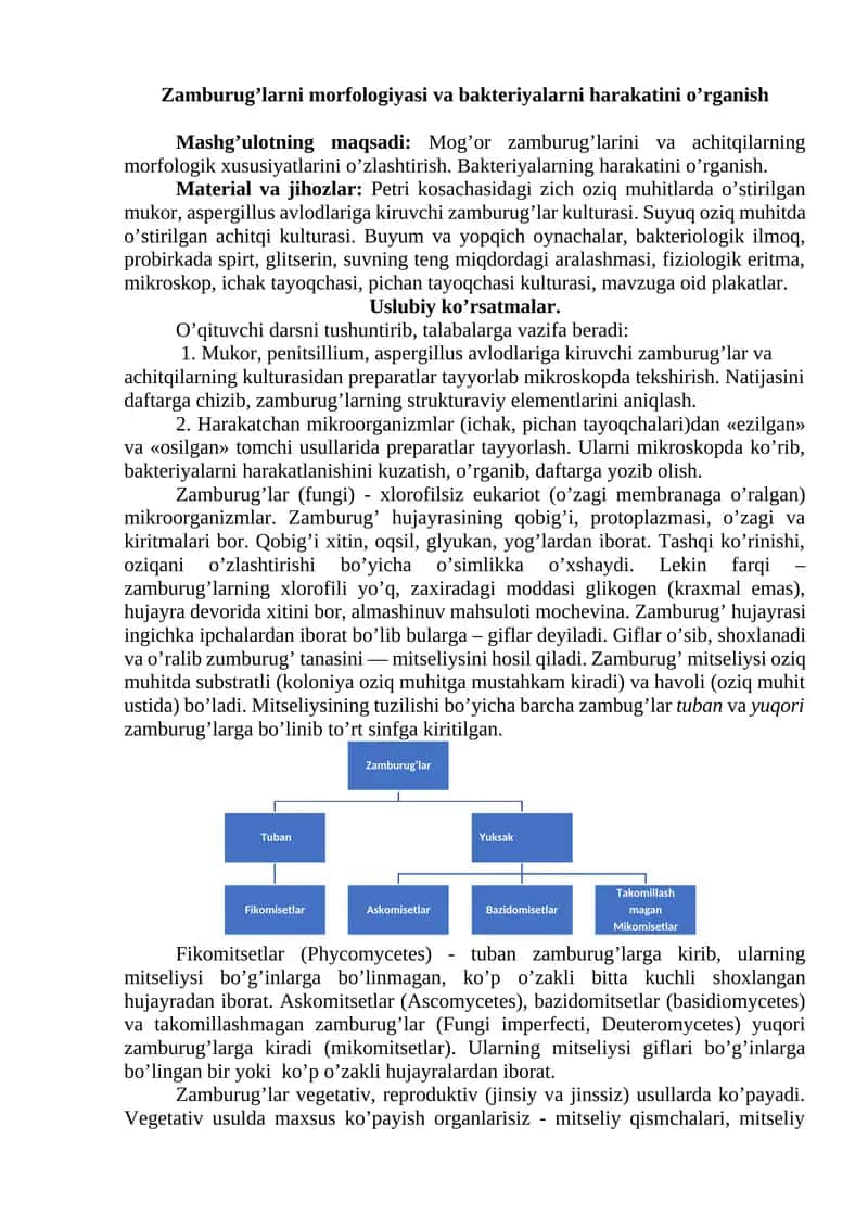 Zamburug’larni morfologiyasi va bakteriyalarni harakatini o’rganish