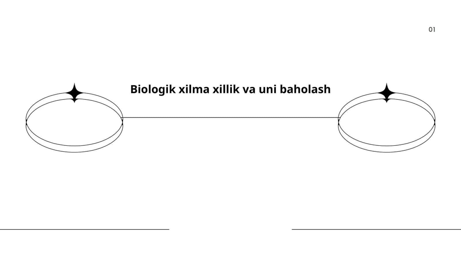 Tur xilma-xilligi