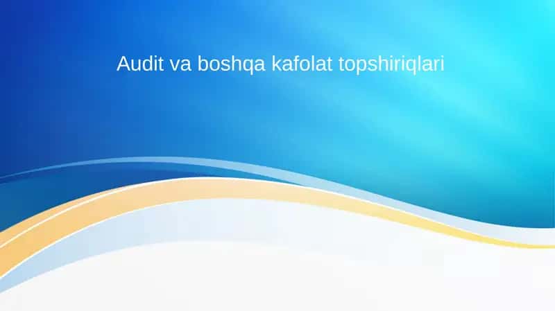 Audit