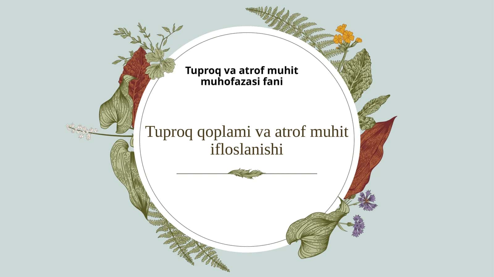 Tuproq qoplami va atrof-muhit ifloslanishi