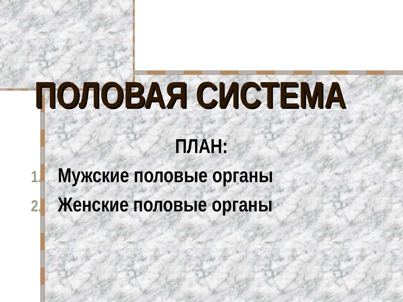 ПОЛОВАЯ СИСТЕМА
