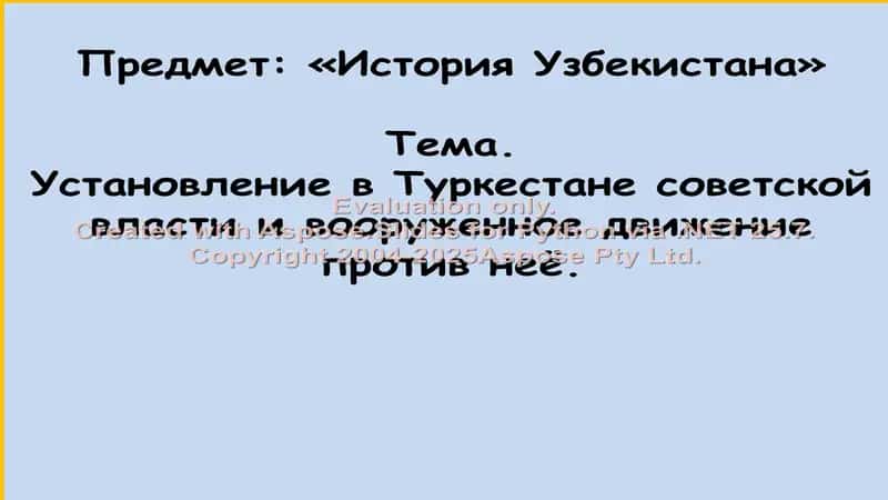 Установление в Туркестане советской власти и вооруженное движение против неё