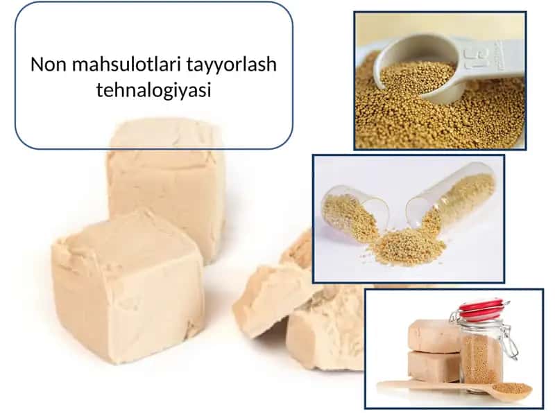 Non mahsulotlari tayyorlash tehnalogiyasi
