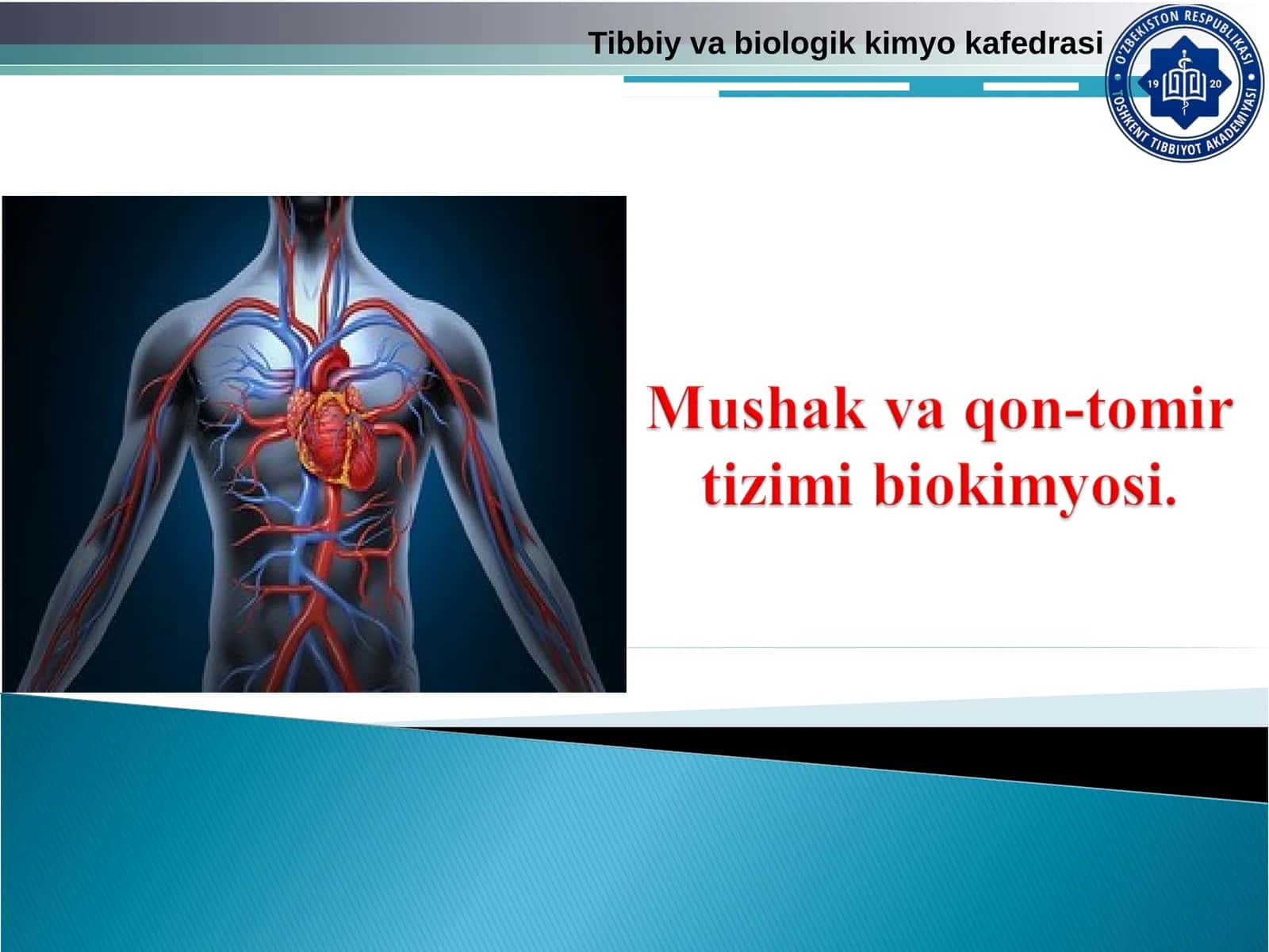Mushak va qon-tomir tizimi biokimyosi