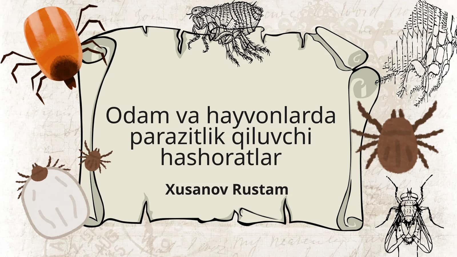 Odamlarda va hayvonlarda parazitlik qiluvchi hashoratlar