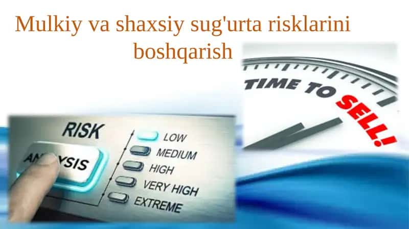 Mulkiy va shaxsiy sug'urtalarni boshqarish
