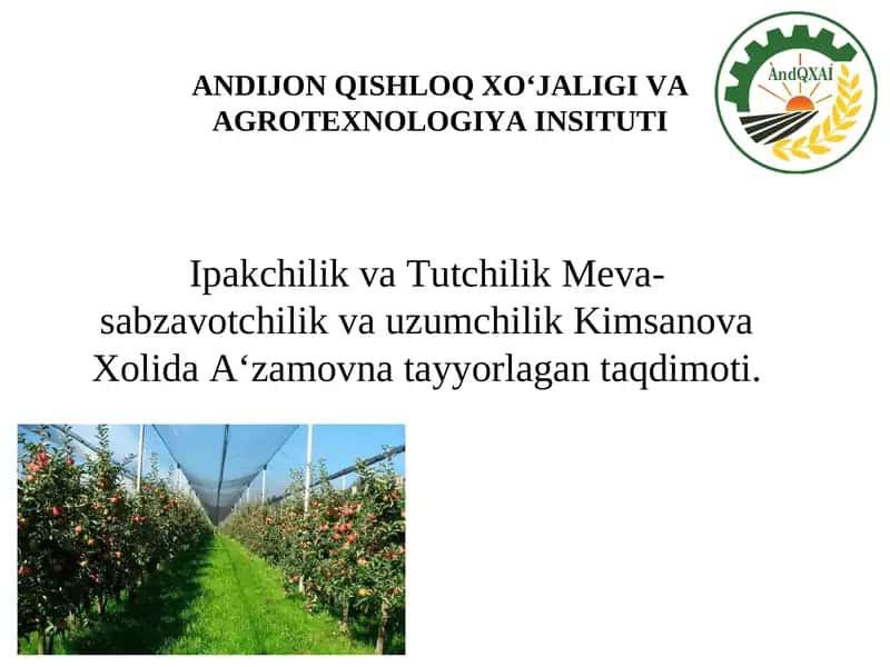 IPAKCHILIK VA TUTCHILIK - MEVA BOG'IARINI BARPO QILISH TEXNOLOGIYASI
