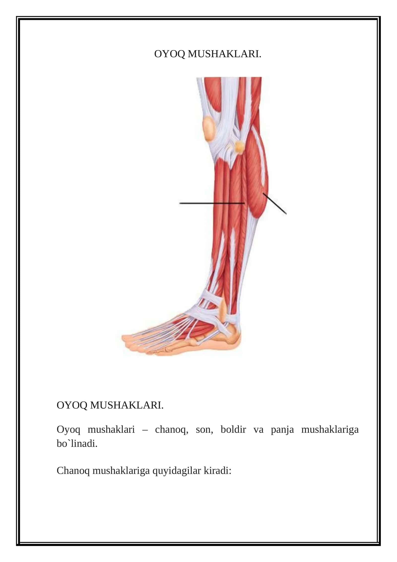 OYOQ MUSHAKLARI