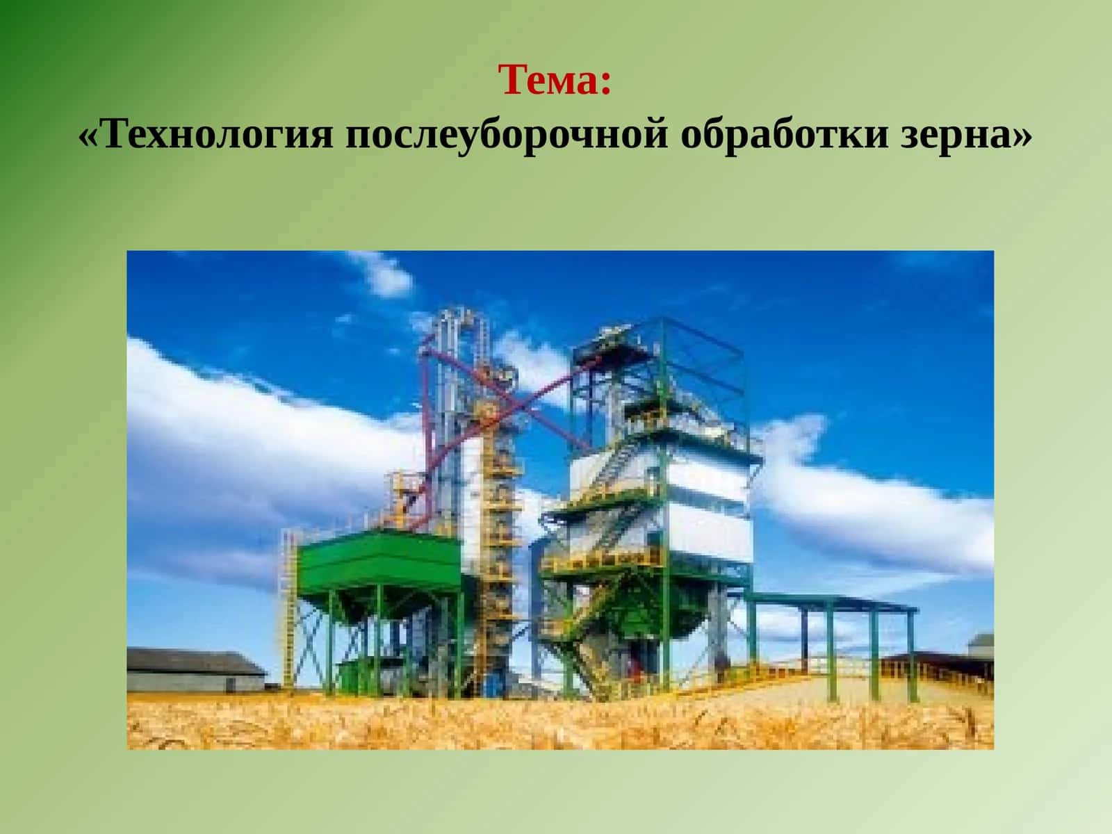 Технология послеуборочной обработки зерна
