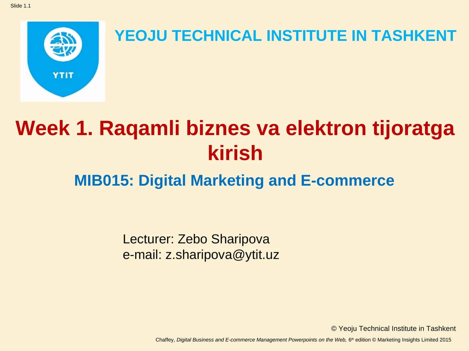 MIB015: Digital Marketing and E-commerce