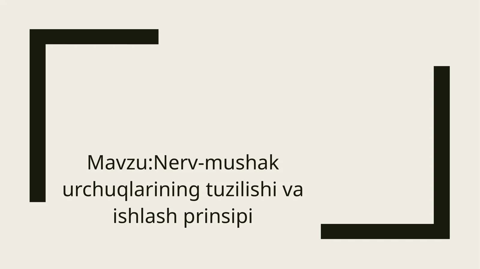 Nerv-mushakurchuqlarining tuzilishi va ishlash prinsipi