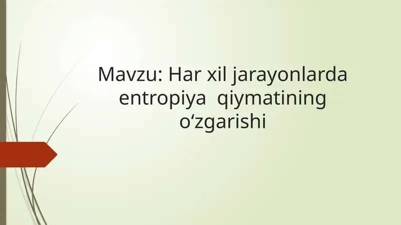 Entropiya va Termofizika