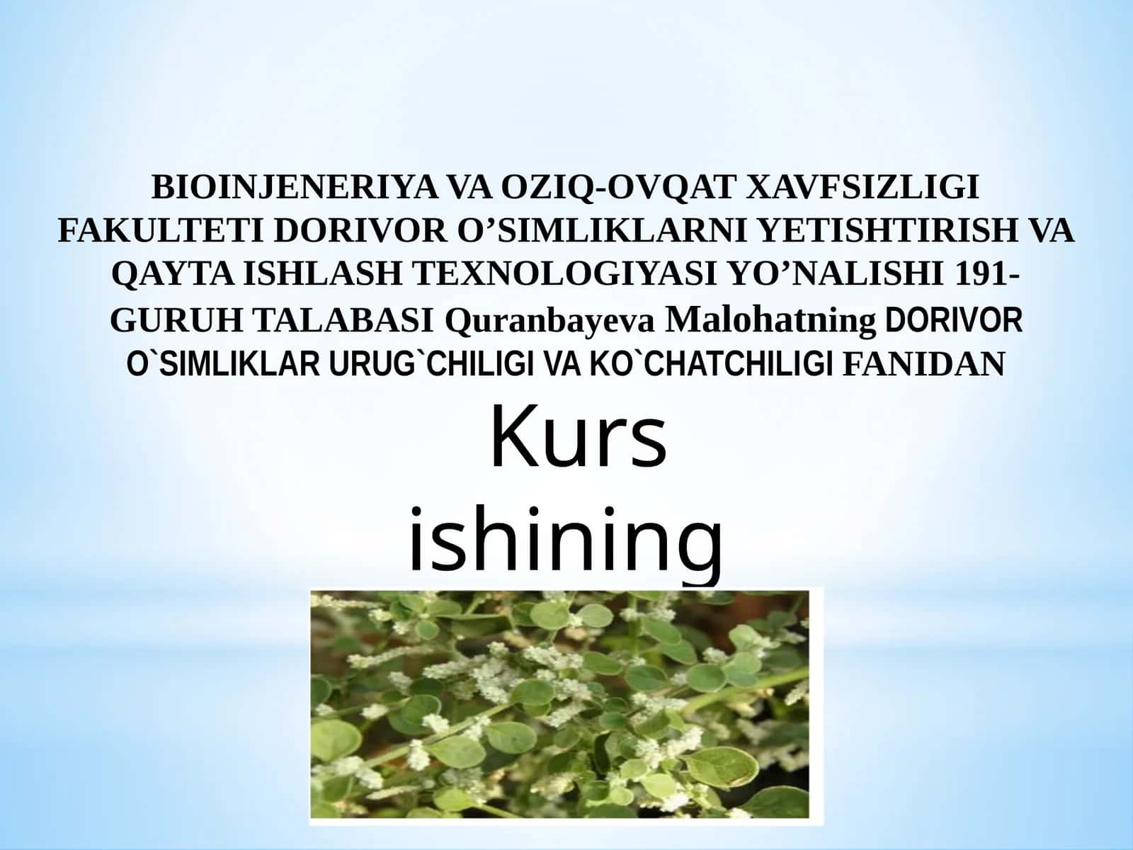 BIOINJENERIYA VA OZIQ-OVQAT XAVFSIZLIGI FAKULTETI DORIVOR O’SIMLIKLARNI YETISHTIRISH VA QAYTA ISHLASH TEXNOLOGIYASI YO’NALISHI 191-GURUH TALABA