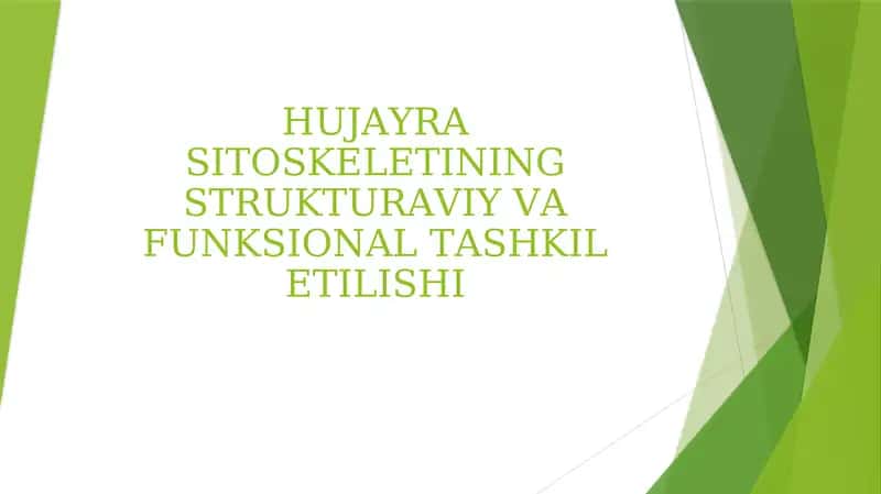 HUJAYRA SITOSKELETINING STRUKTURAVIY VA FUNKSIONAL TASHKIL ETILISHI