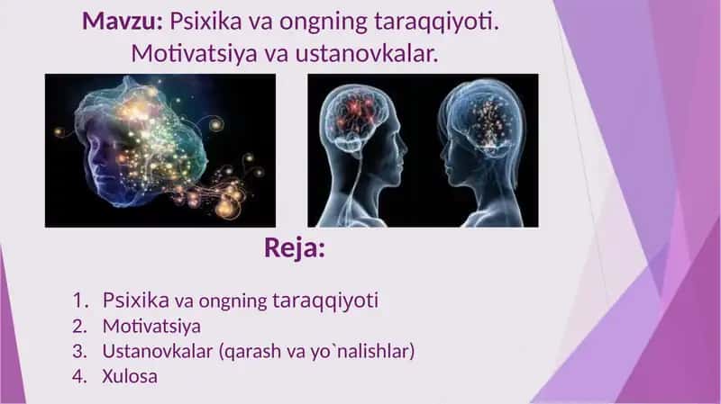 Psixika va ongning taraqqiyoti. Motivatsiya va ustanovkalar.