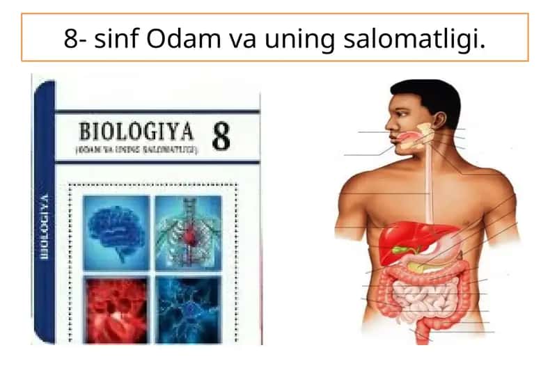 8- sinf Odam va uning salomatligi