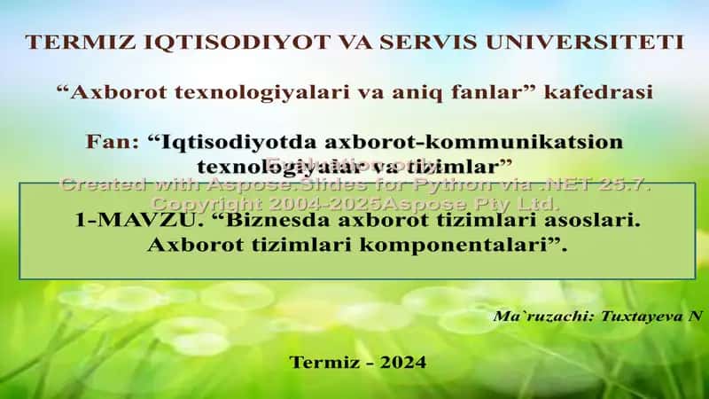 Biznesda axborot tizimlari asoslari. Axborot tizimlari komponentalari