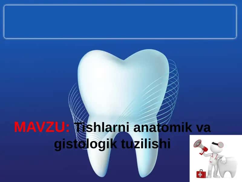 Tishlarni anatomik va gistologik tuzilishi