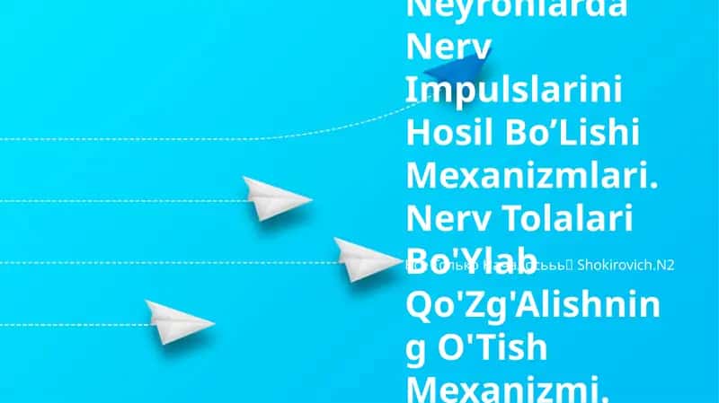 Neyronlarda Nerv Impulslarini Hosil Bo'Lishi Mexanizmlari