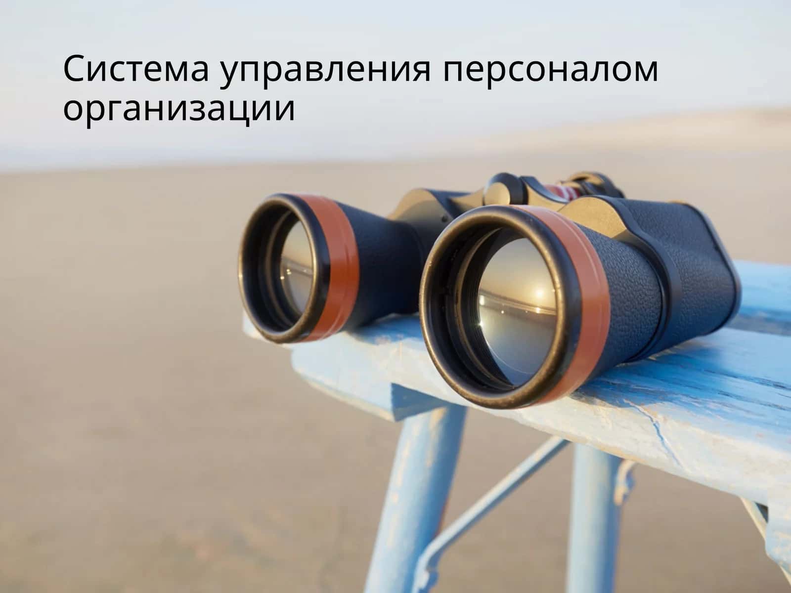 Система управления персоналом организации