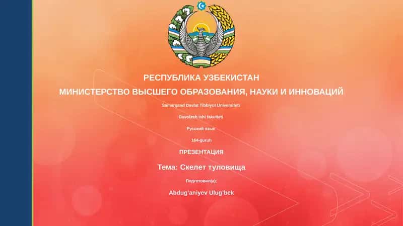 Презентация "Скелет туловища"