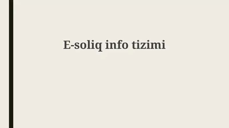 E-soliqinfotizimi
