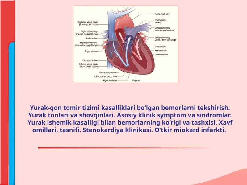 Yurak-qon tomir tizimi kasalliklari