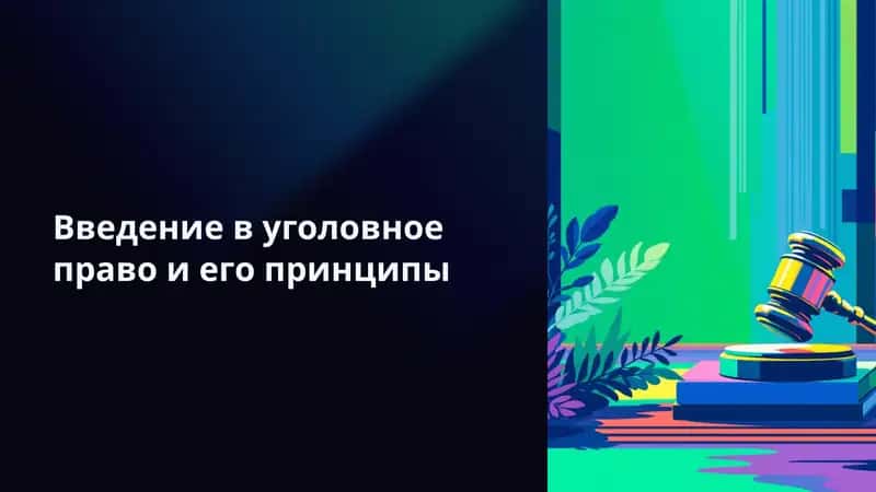 Введение и принципы уголовного право