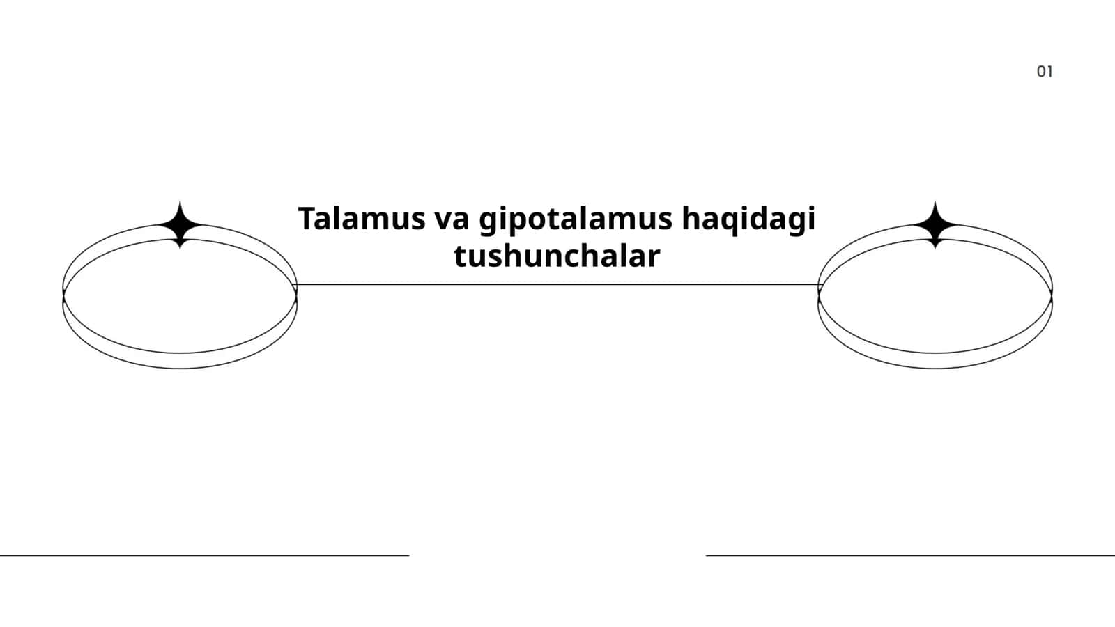 Talamus va gipotalamus haqidagi tushunchalar