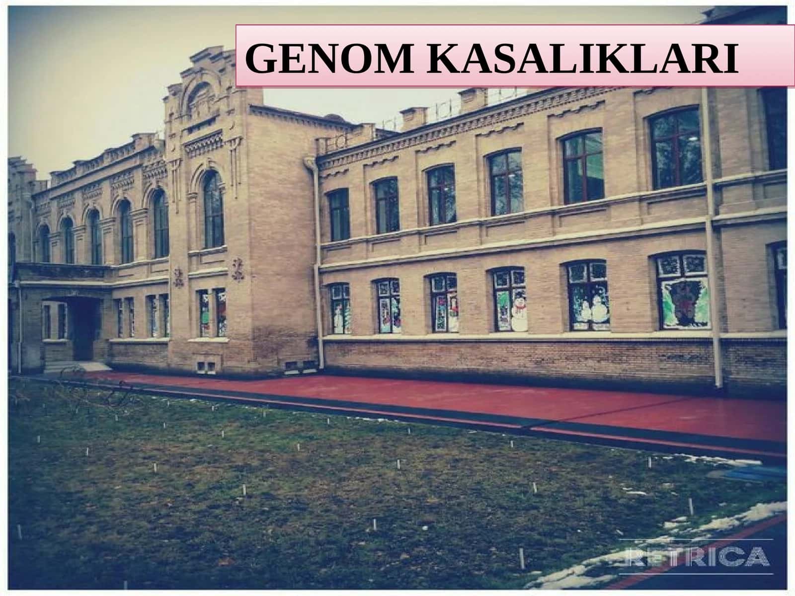 GENOM KASALIKLARI