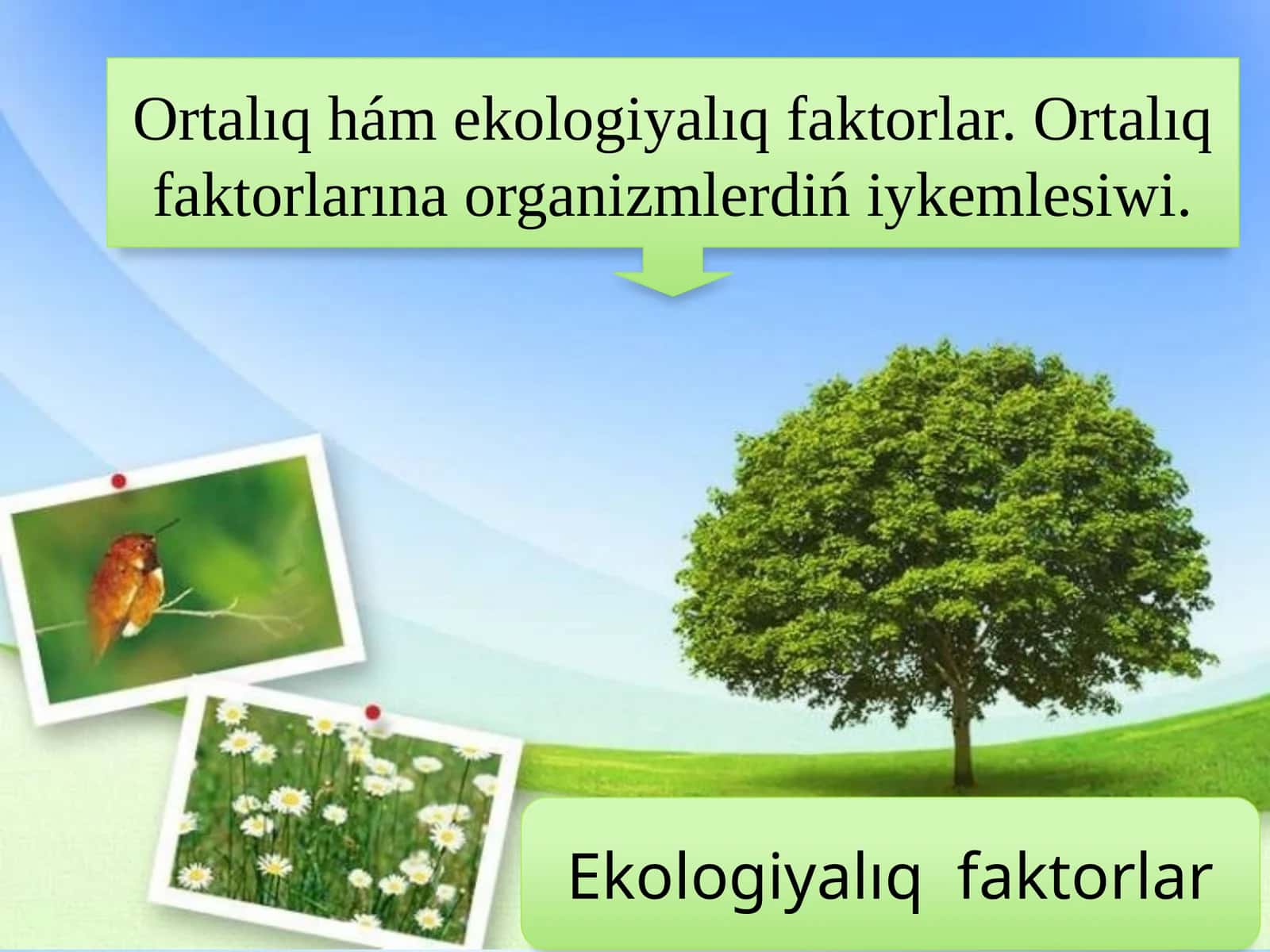 Ekologiyalıq faktorlar