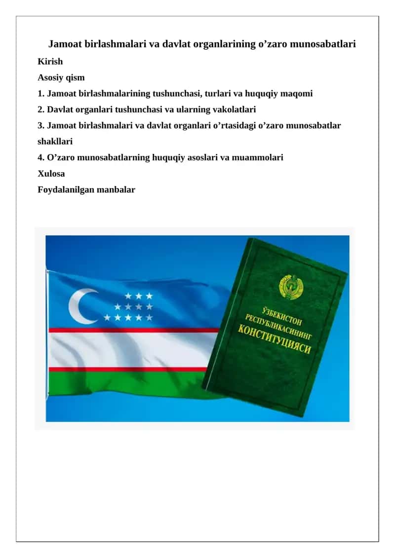Jamoat birlashmalari va davlat organlarining o'zaro munosabatlari