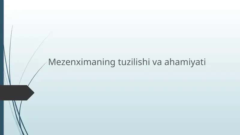 mezenxima