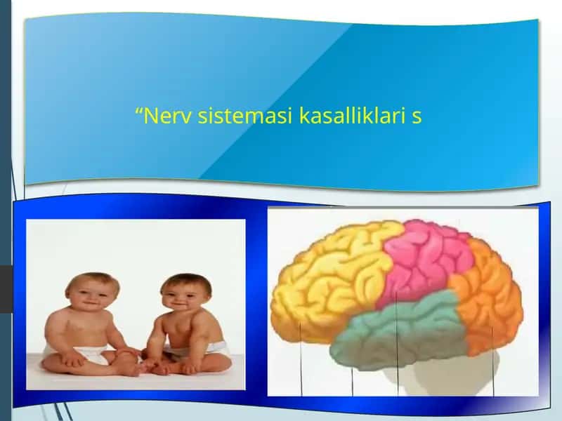 Nervsistemasikasalliklaris