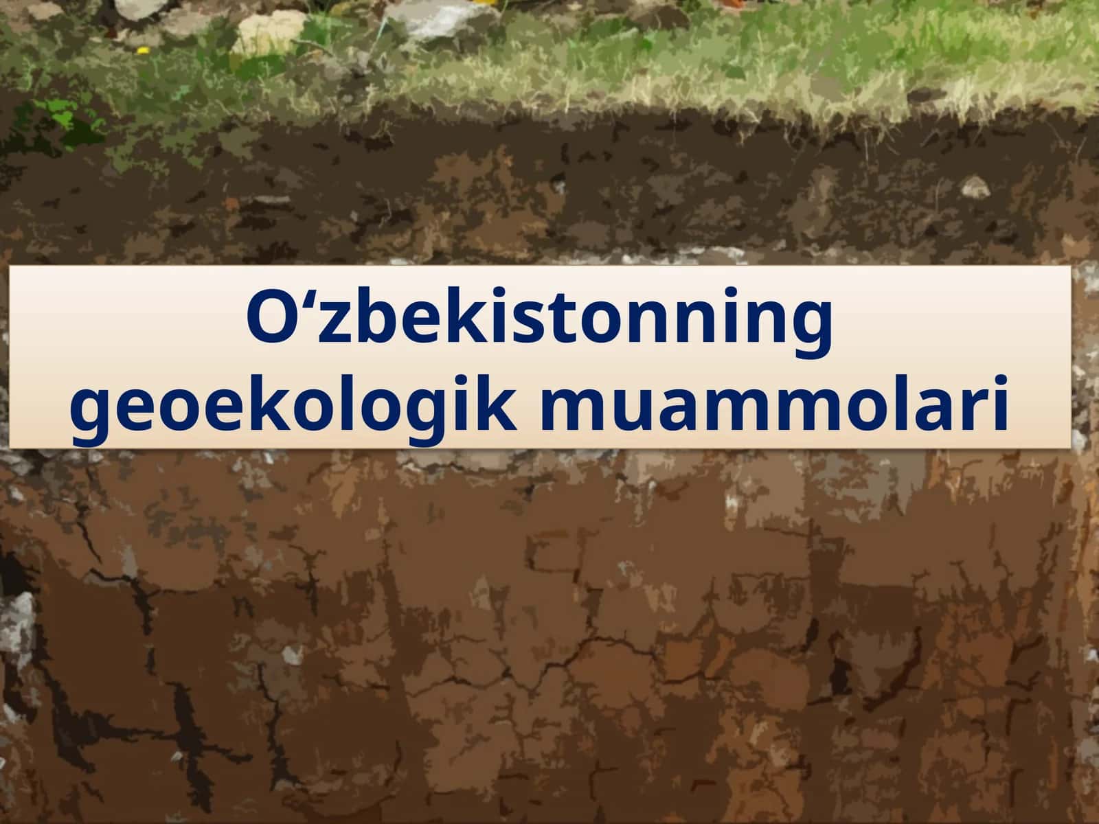 O‘zbekistonning geoekologik muammolari