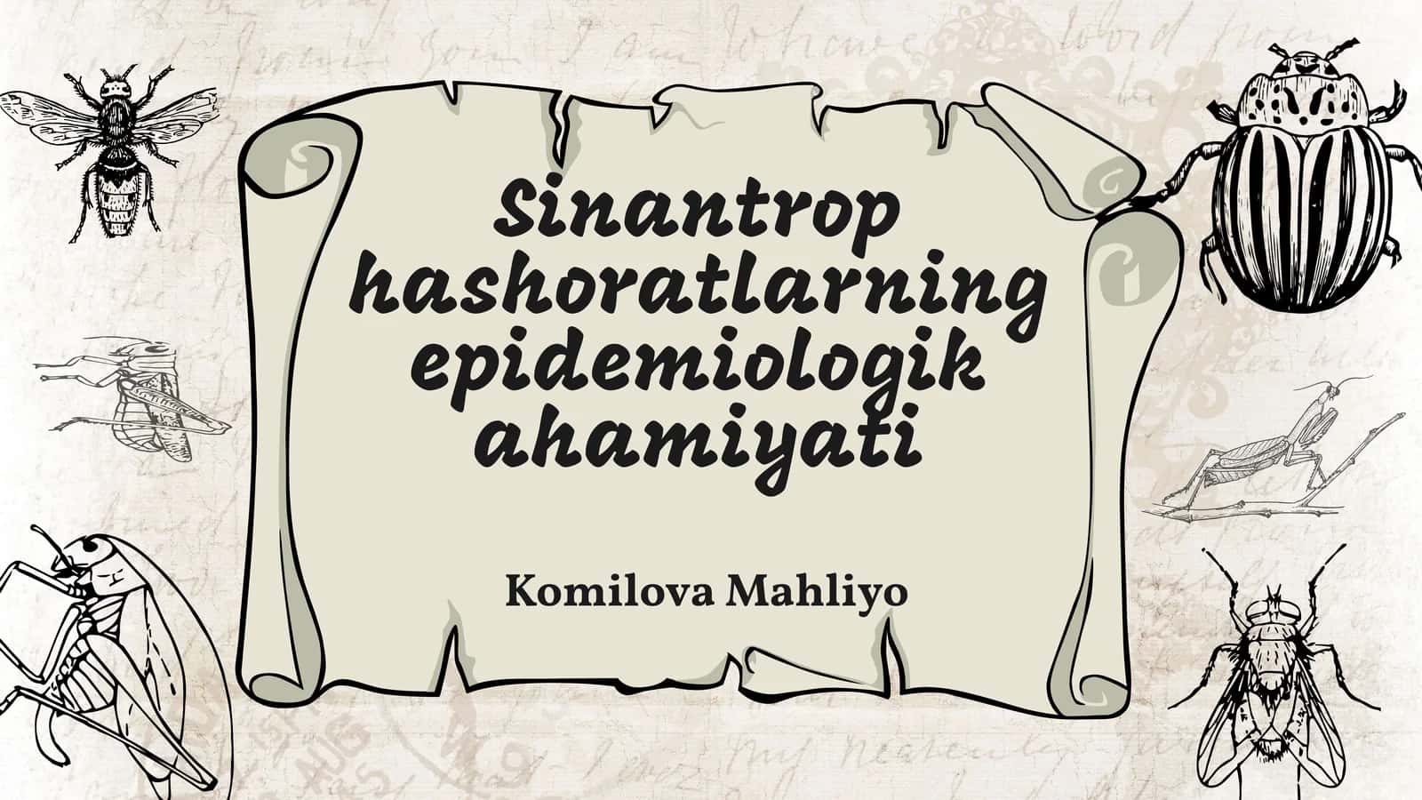 Sinantrop hashoratlarning epidemiologik ahamiyati