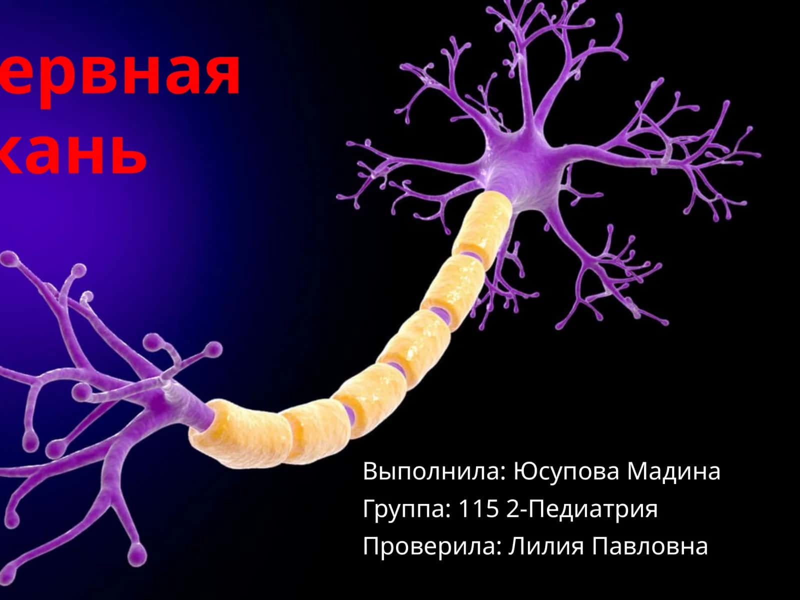Нервная ткань
