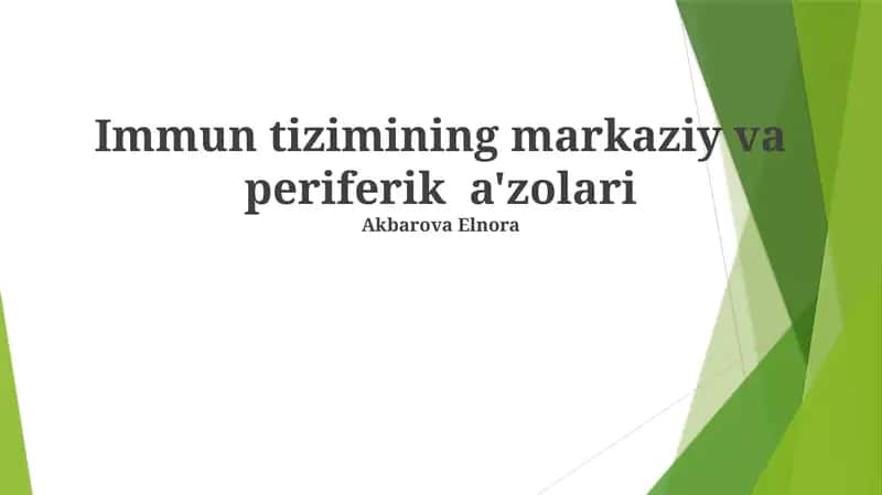 Immun tizimining markaziy va periferik a'zolari
